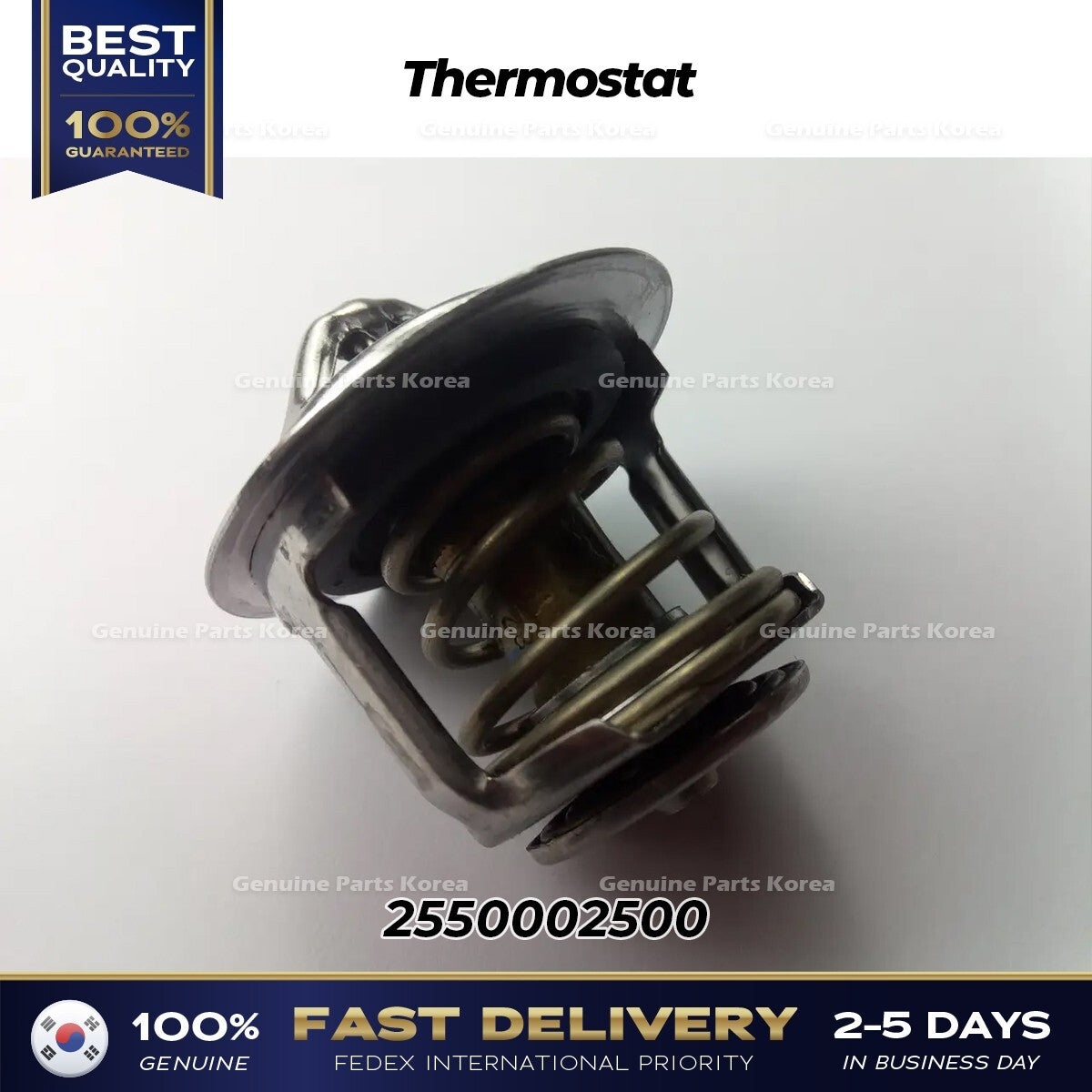 Genuine Thermostat 2550002500 for Hyundai Atoz