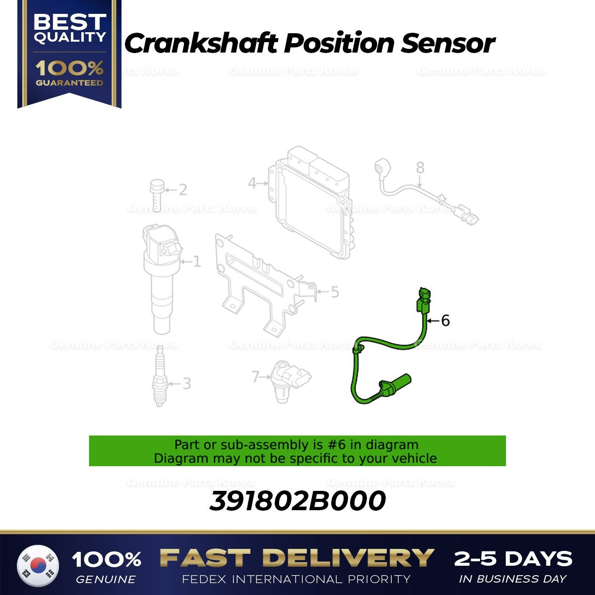 Genuine Crankshaft Position Sensor 391802B000 for Hyundai Kia