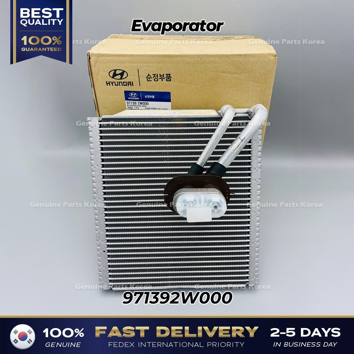 Genuine Evaporator 971392W000 for Hyundai Santa Fe