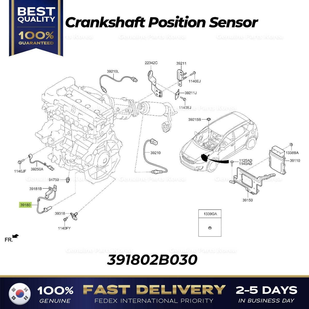 Genuine Crankshaft Position Sensor 391802B030 for Hyundai Elantra Kia Forte