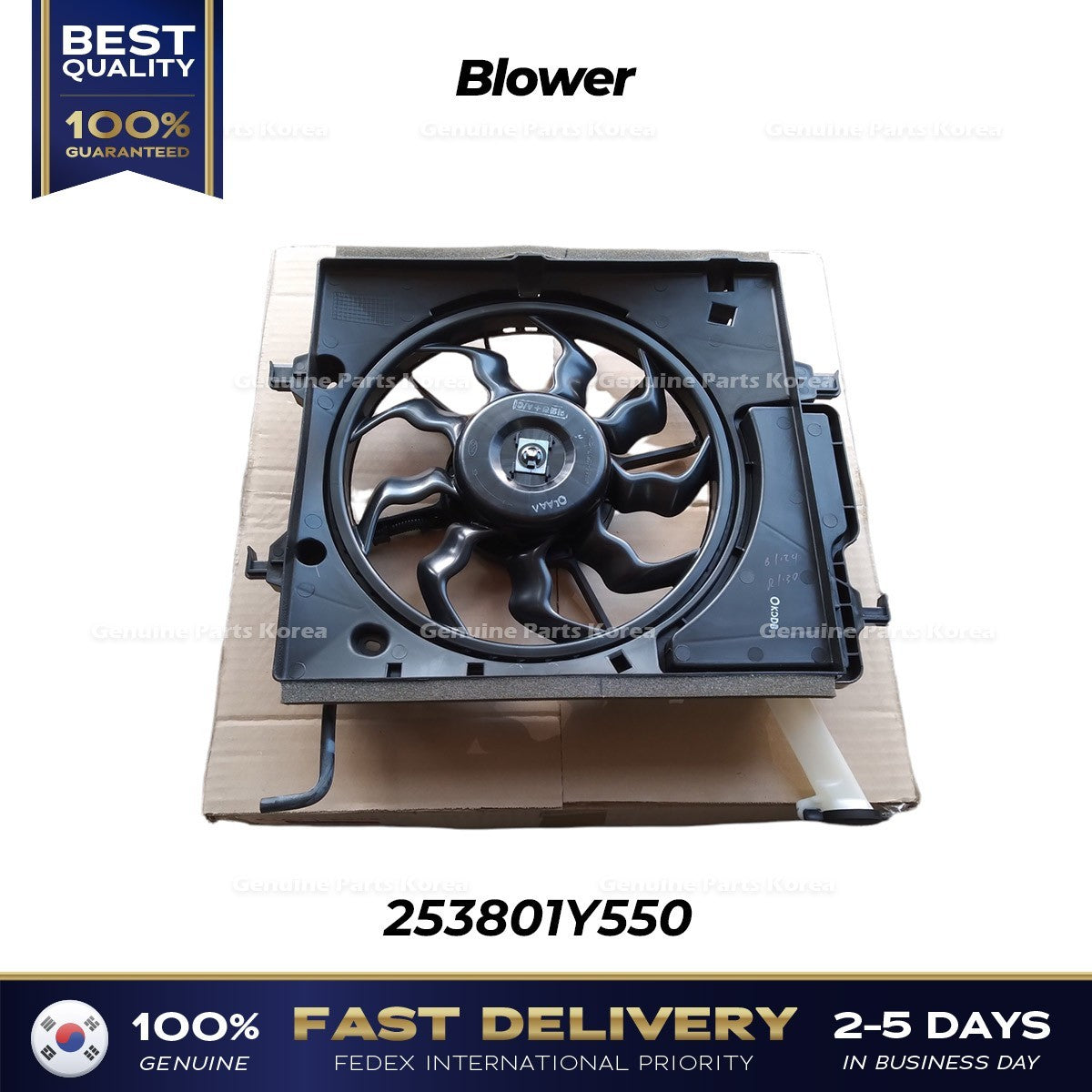 Genuine Blower 253801Y550 for Kia Picanto