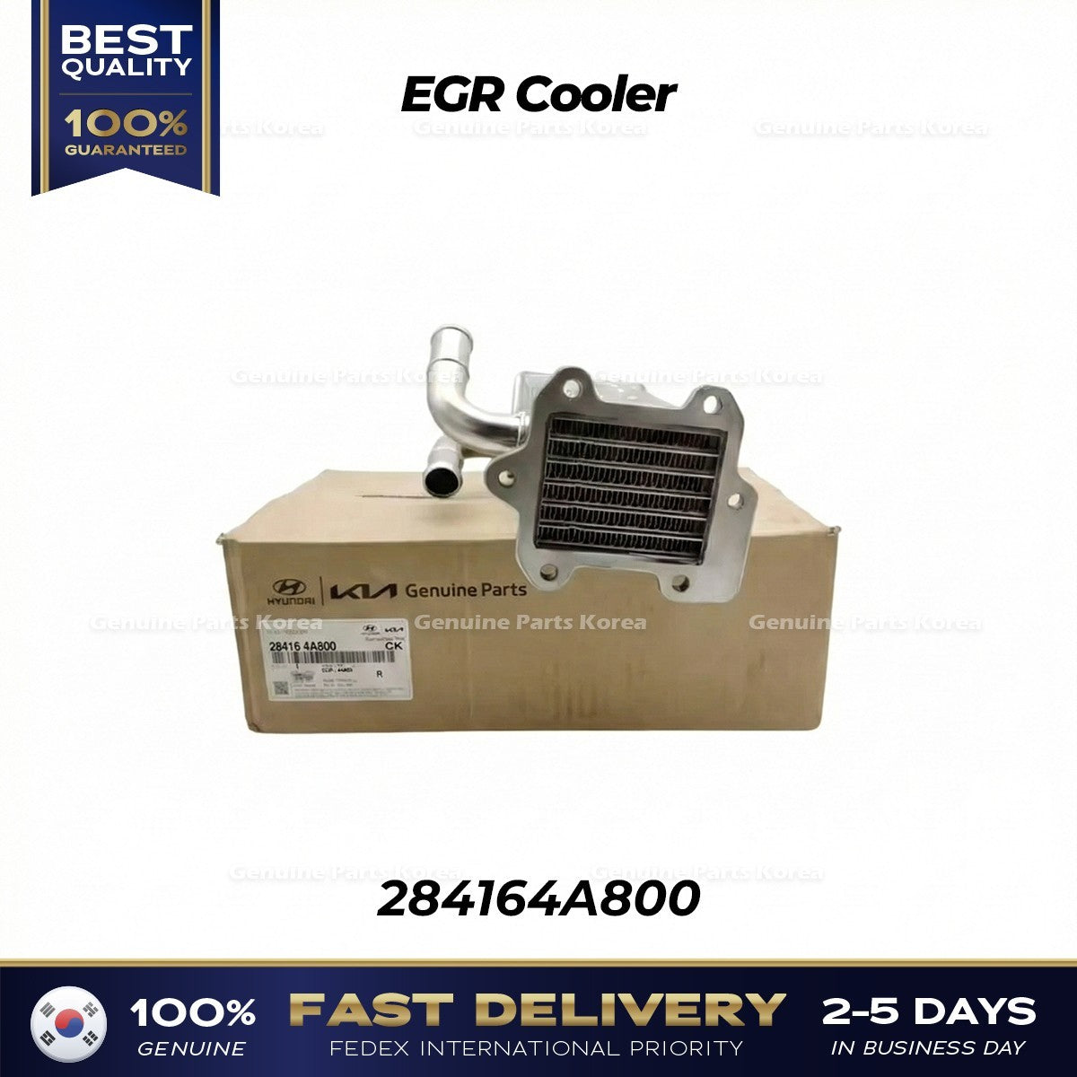 Genuine EGR Cooler 284164A800 for Hyundai Porter II