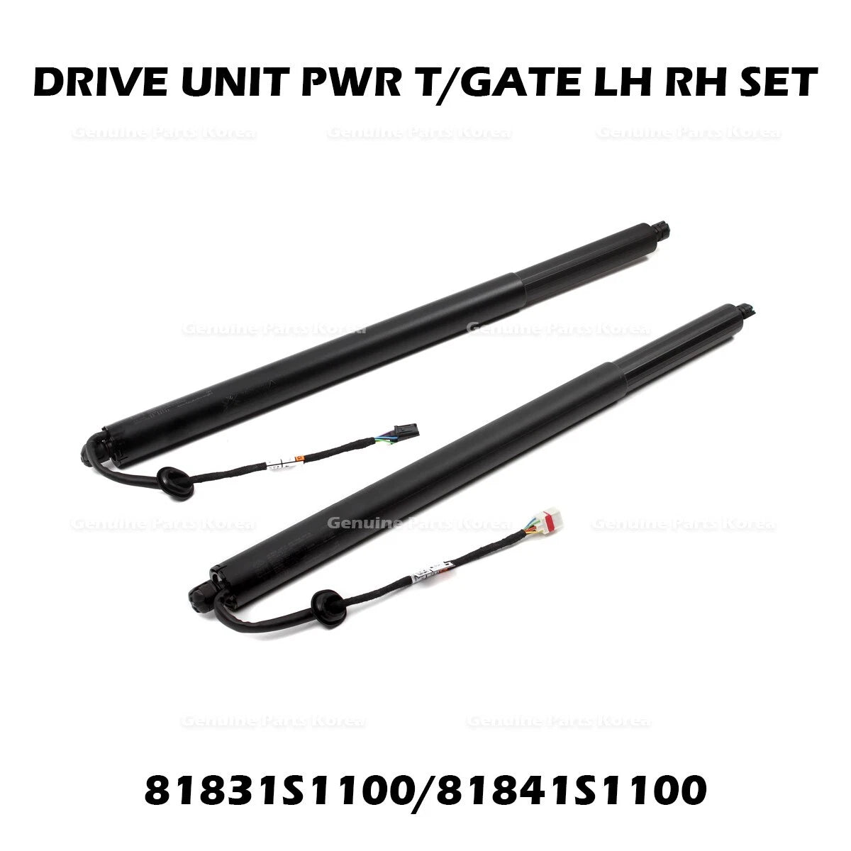 DRIVE UNIT PWR T/GATE ⭐ LH + RH ⭐ SET 81831S1100 81841S1100 for Hyundai Santa Fe