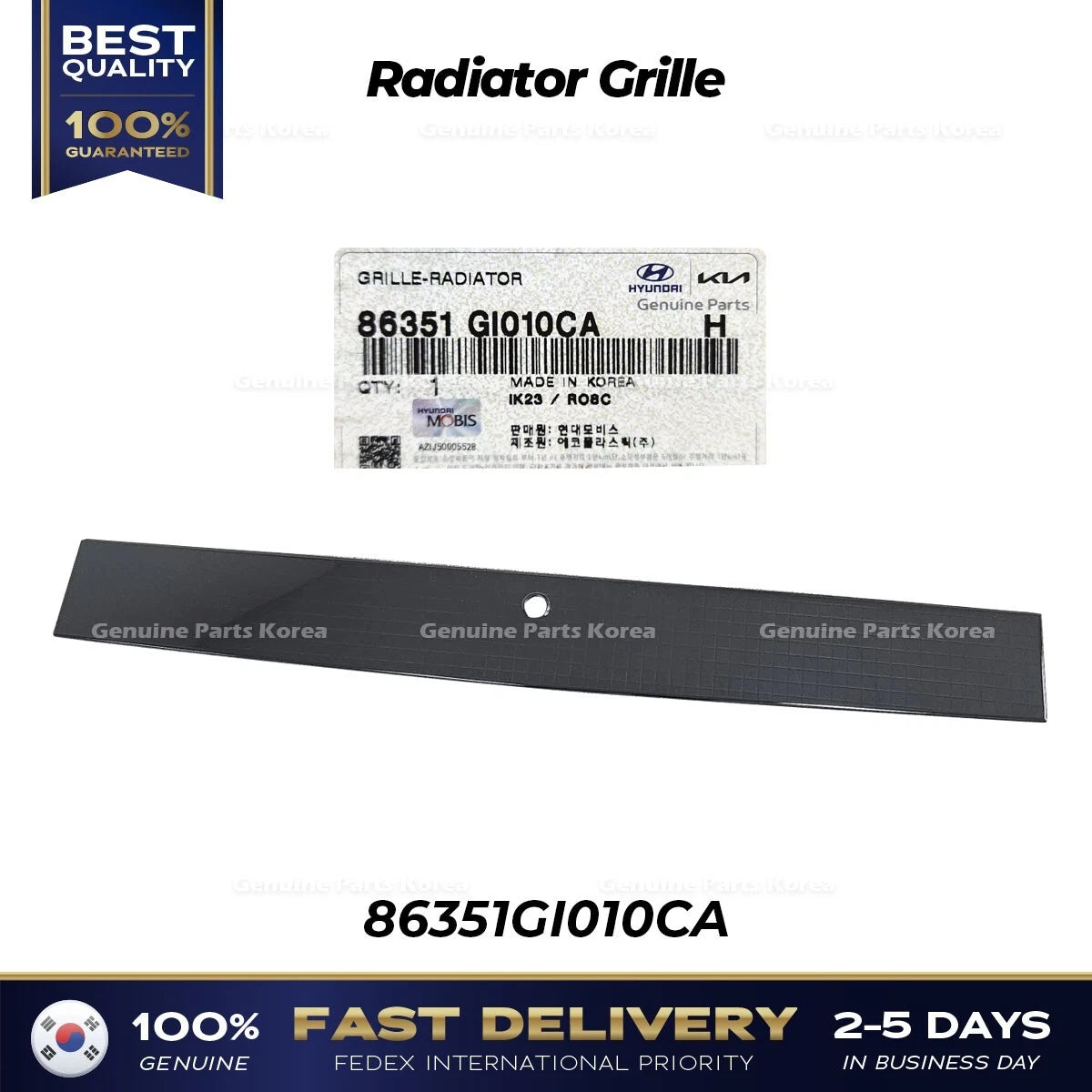⭐Genuine⭐ Radiator Grille 86351GI010CA for Hyundai Ioniq 5