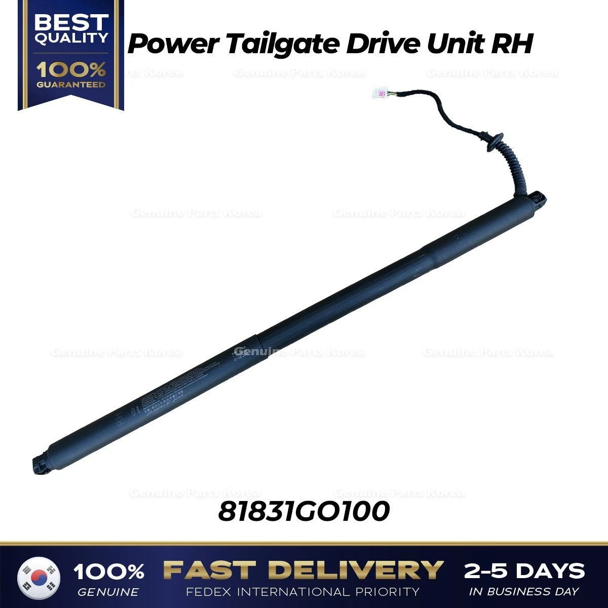 ⭐Genuine⭐ Power Tailgate Drive Unit RH 81841GO100 for Hyundai Ioniq 9