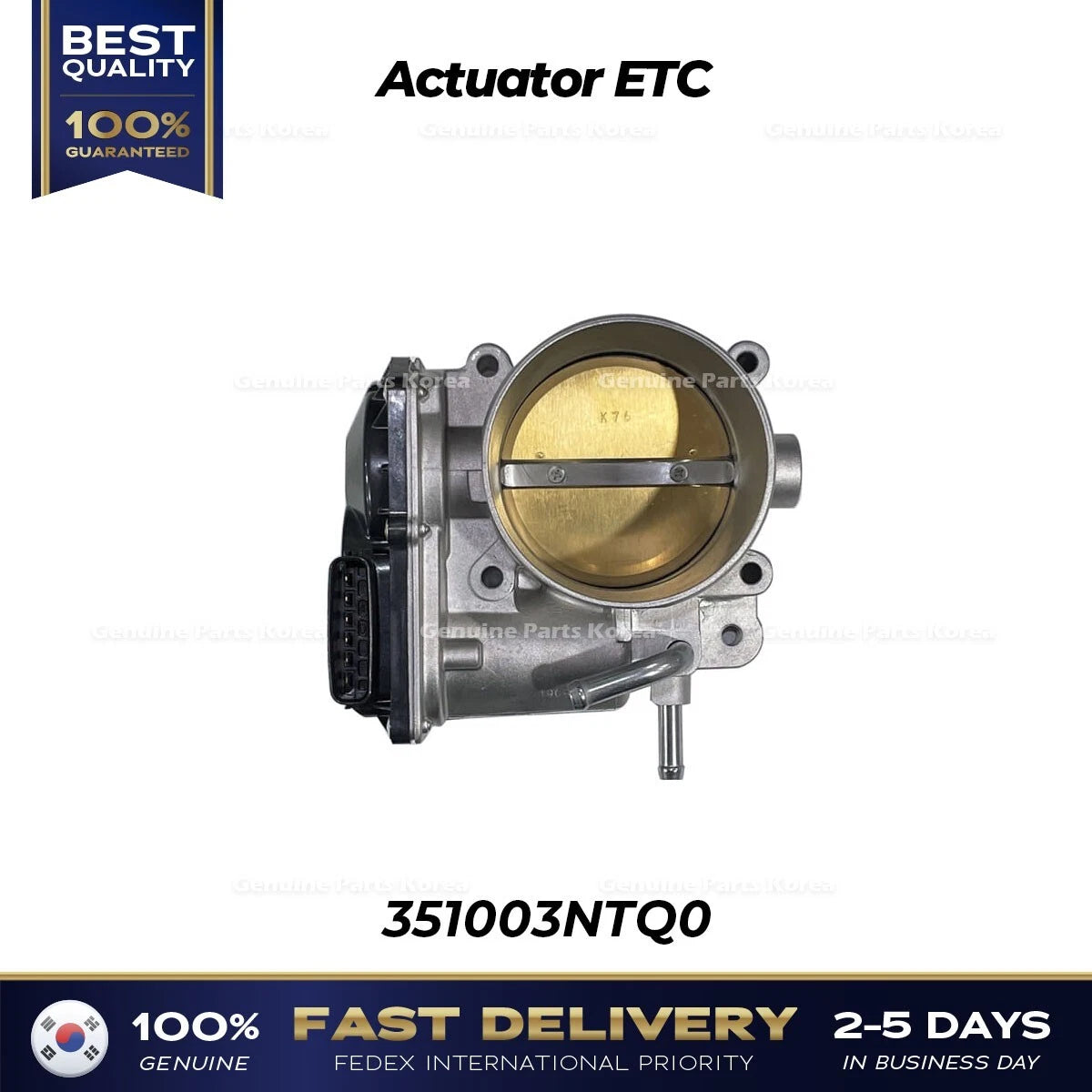 ⭐Genuine⭐ Actuator ETC 351003NTQ0 for Hyundai Genesis