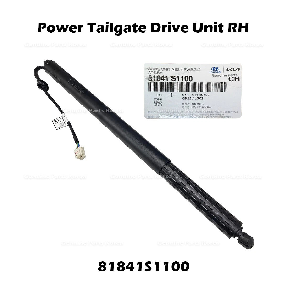 ⭐Genuine⭐ Power Tailgate Drive Unit RH 81841S1100 for Hyundai Santa Fe