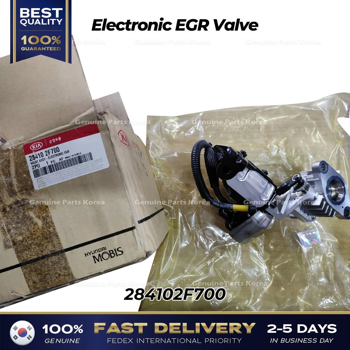 ⭐Genuine⭐ Electronic EGR Valve 284102F700 for Hyundai Maxcruz Santa Fe