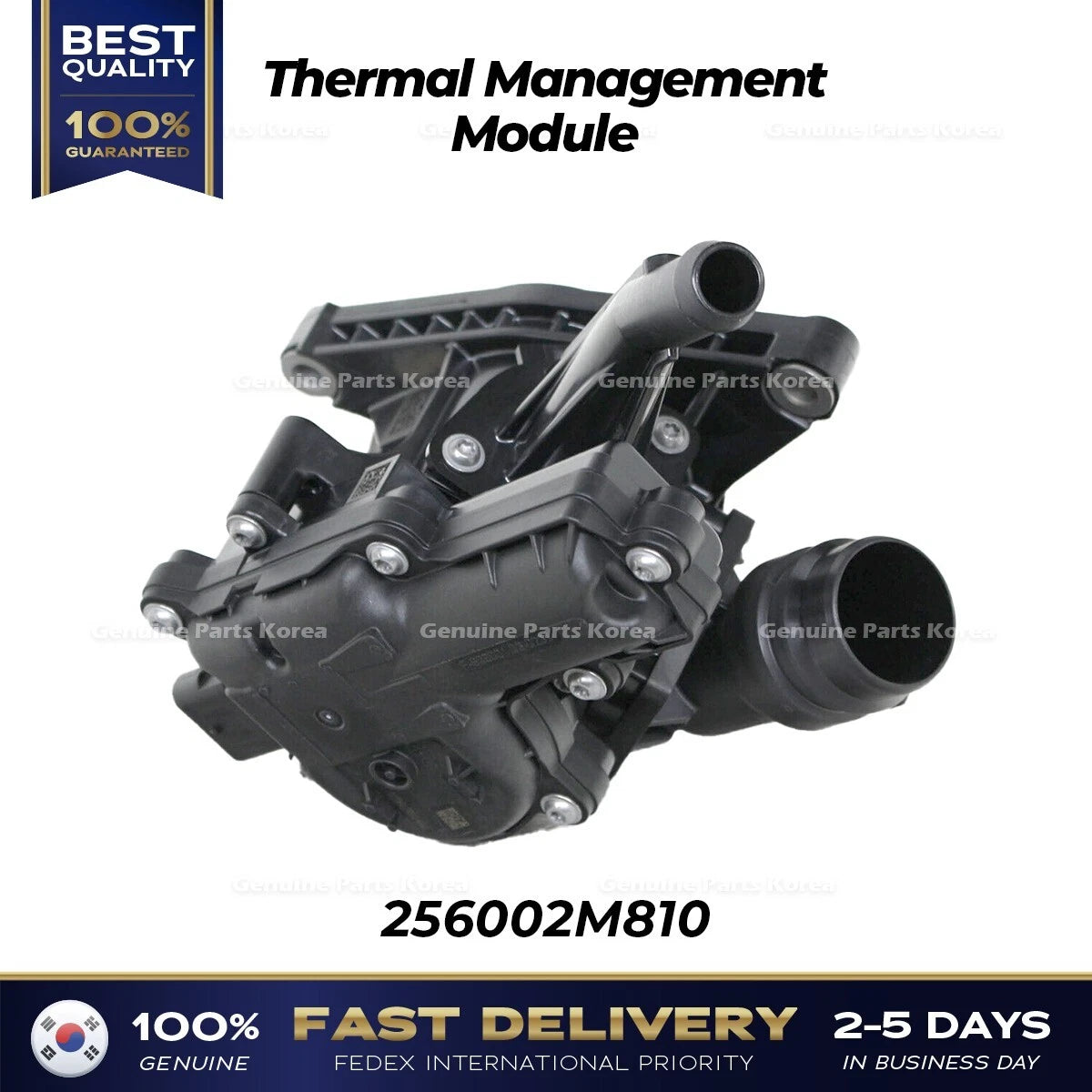 ⭐Genuine⭐ Thermal Management Module 256002M810 for Hyundai Elantra Kia Sorento