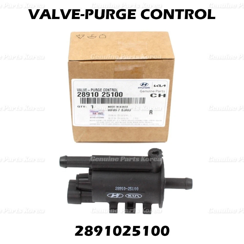 ⭐Genuine⭐ Vapor Canister Purge Valve 2891025100 for Hyundai & Kia 2006-2018