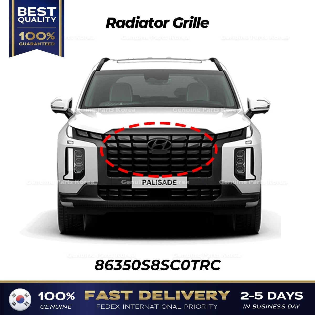 ⭐Genuine⭐ Radiator Grille 86350S8SC0TRC for Hyundai Palisade