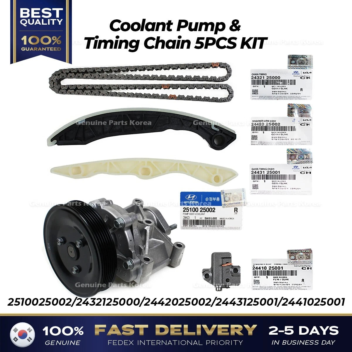 ⭐Genuine⭐ Coolant Pump & Timing Chain 5PCS KIT 2510025002 for Hyundai Kia