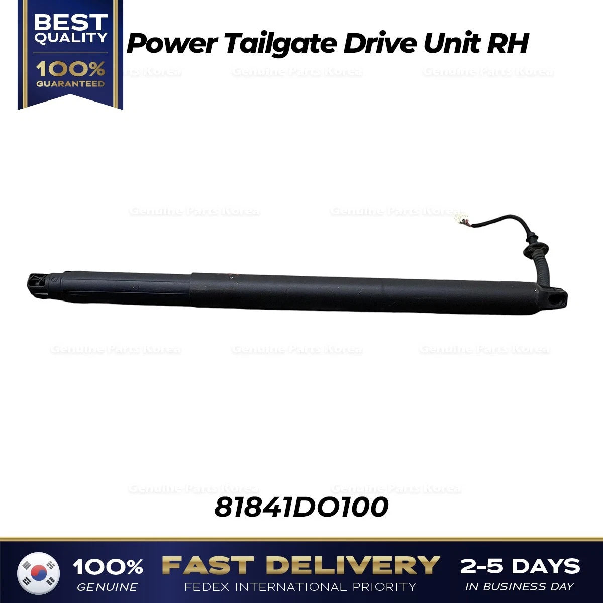 ⭐Genuine⭐ Power Tailgate Drive Unit RH 81841DO100 for Kia EV9