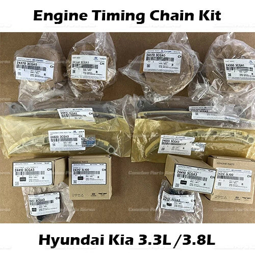 ⭐Genuine⭐ Engine Timing Chain Kit 14P for 3.3L 3.8L Santa Fe Sorento Azera Genesis