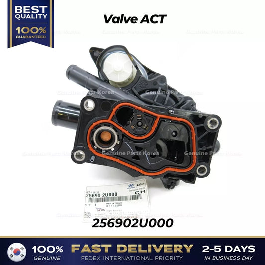 VALVE ACT 256902U000