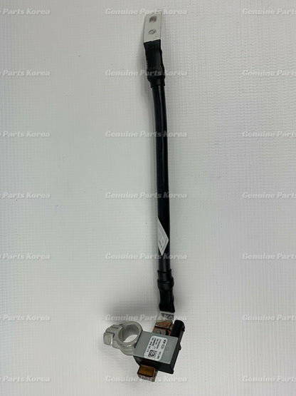 Genuine Battery Negative Cable Battery Sensor for Hyundai Santa Fe 2010-2012