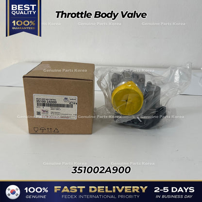 Genuine Throttle Body Valve 351002A900 for Hyundai Tucson Santa Fe i30 04-19