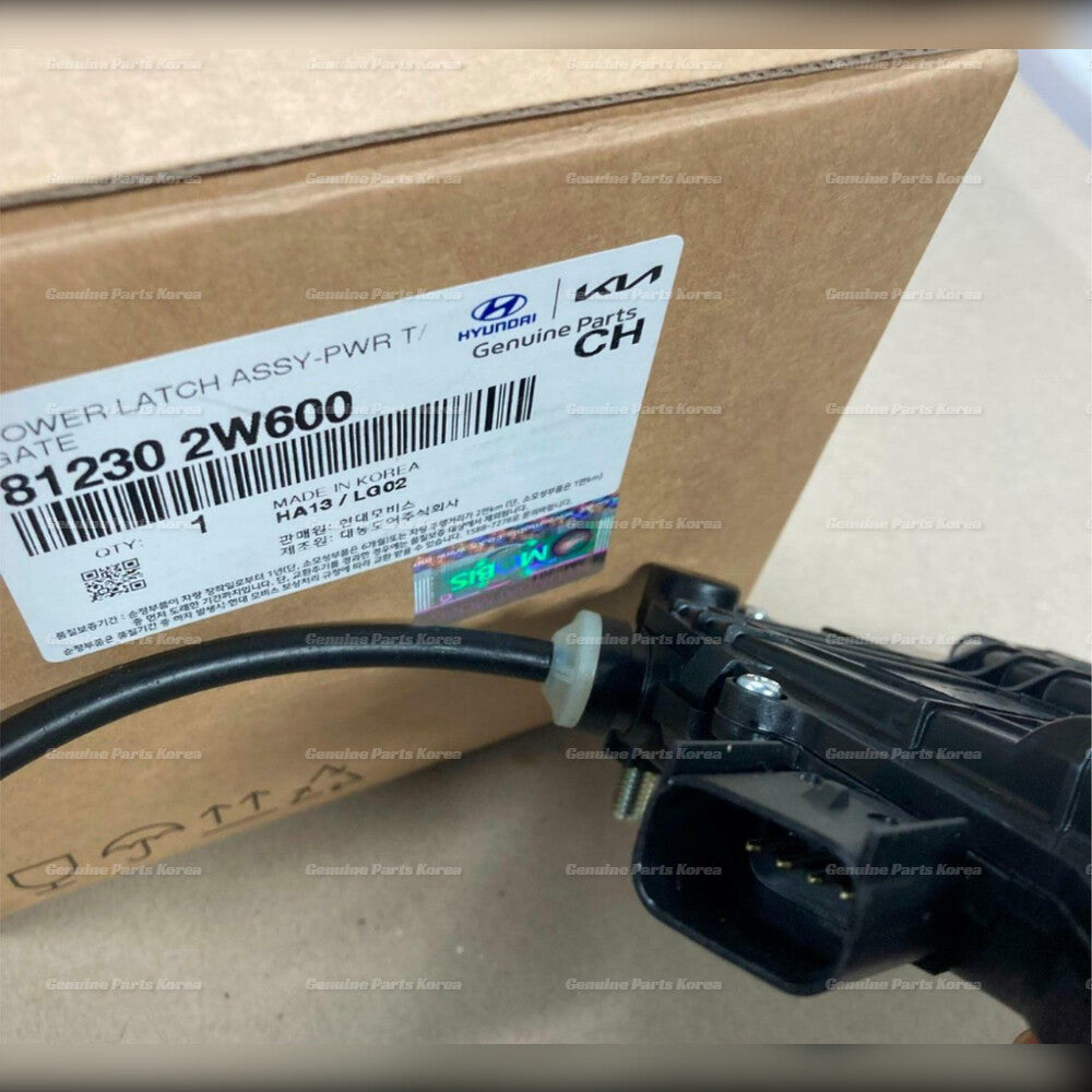 Genuine Trunk Tailgate Lock Latch 812302W600 for Hyundai Santa Fe Sport 13-18