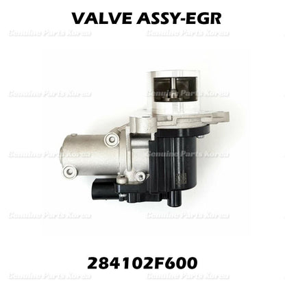 OEM EGR Valve + Gasket 284102F600 for Hyundai Azera Kia Sedona Carnival 2014+
