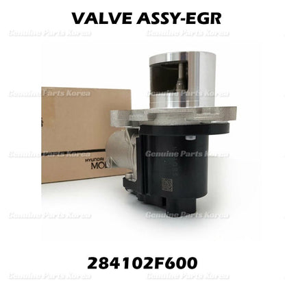 OEM EGR Valve + Gasket 284102F600 for Hyundai Azera Kia Sedona Carnival 2014+
