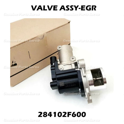 OEM EGR Valve + Gasket 284102F600 for Hyundai Azera Kia Sedona Carnival 2014+