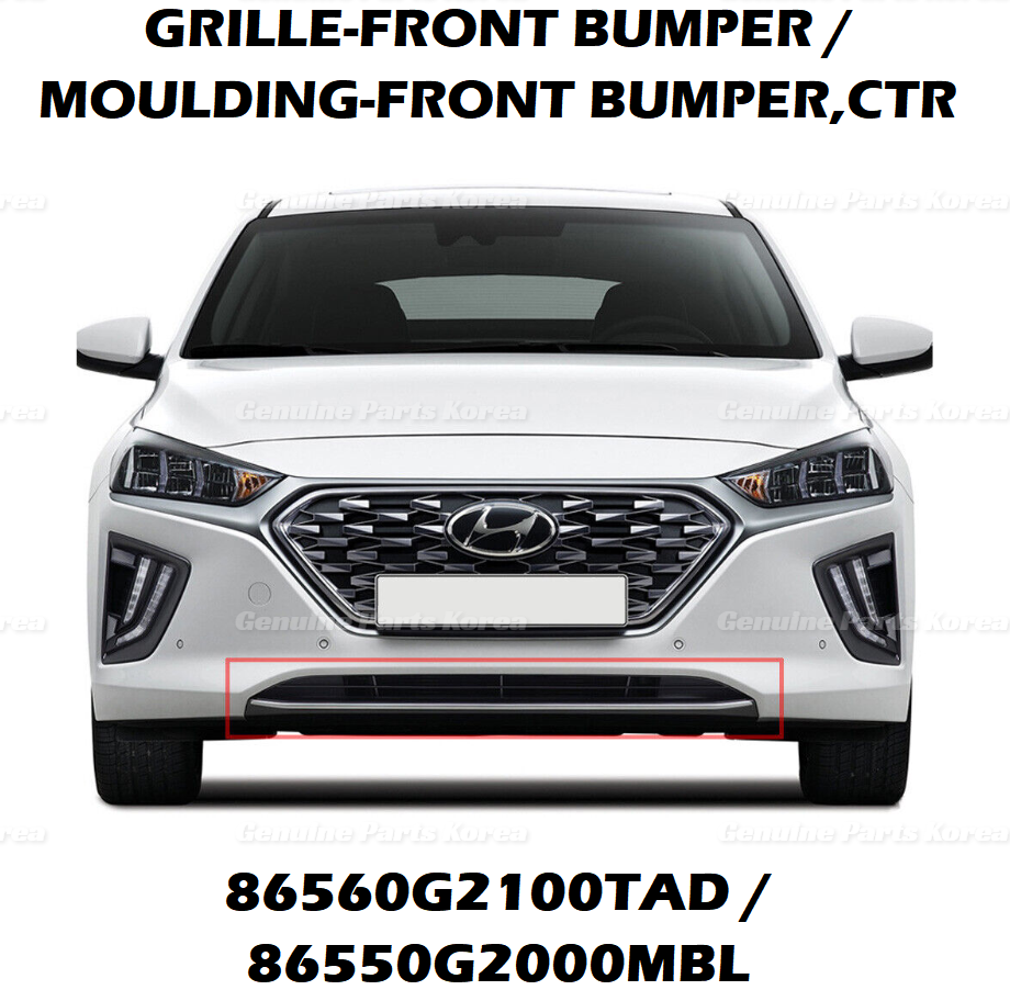 OEM Front Bumper Lower Grille + Color Molding 2P 1set for Hyundai Ioniq 17-22