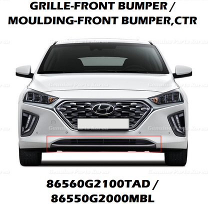 OEM Front Bumper Lower Grille + Color Molding 2P 1set for Hyundai Ioniq 17-22