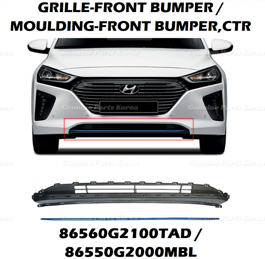OEM Front Bumper Lower Grille + Color Molding 2P 1set for Hyundai Ioniq 17-22