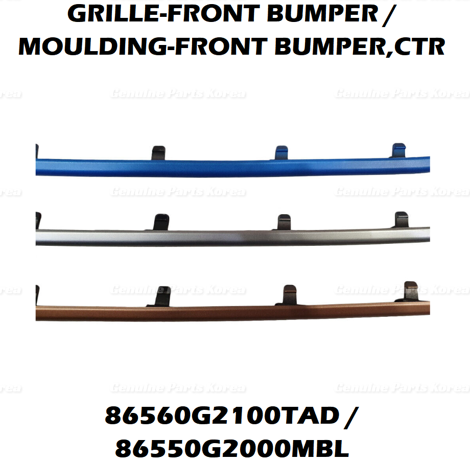 OEM Front Bumper Lower Grille + Color Molding 2P 1set for Hyundai Ioniq 17-22