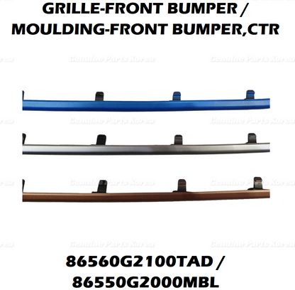 OEM Front Bumper Lower Grille + Color Molding 2P 1set for Hyundai Ioniq 17-22