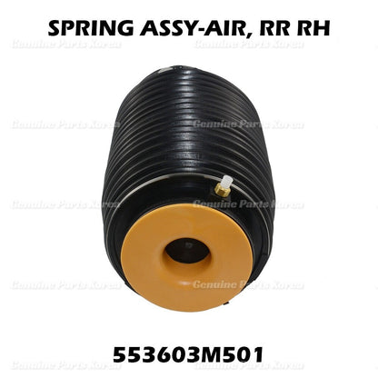 OEM Rear Right Air Suspension Spring Bag 553603M501 For Hyundai Equus 2011-16