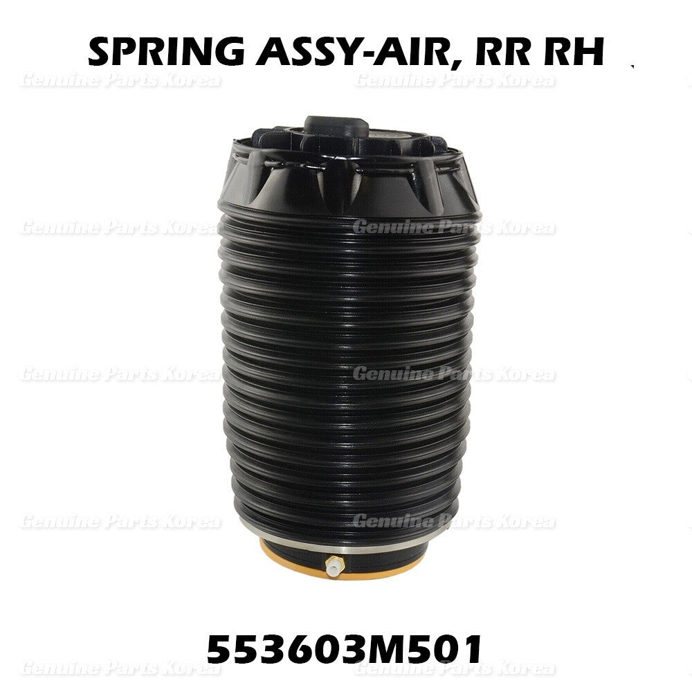 OEM Rear Right Air Suspension Spring Bag 553603M501 For Hyundai Equus 2011-16