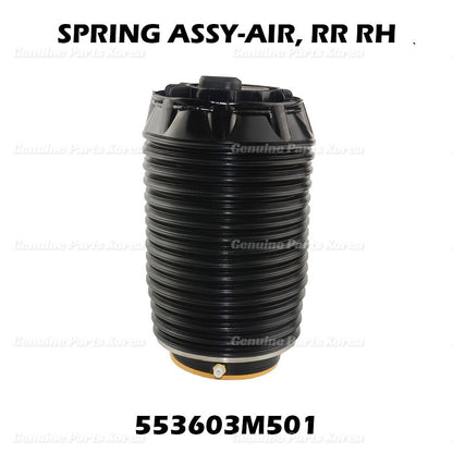 OEM Rear Right Air Suspension Spring Bag 553603M501 For Hyundai Equus 2011-16