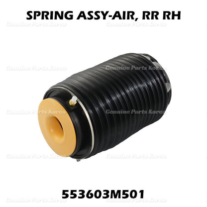 OEM Rear Right Air Suspension Spring Bag 553603M501 For Hyundai Equus 2011-16