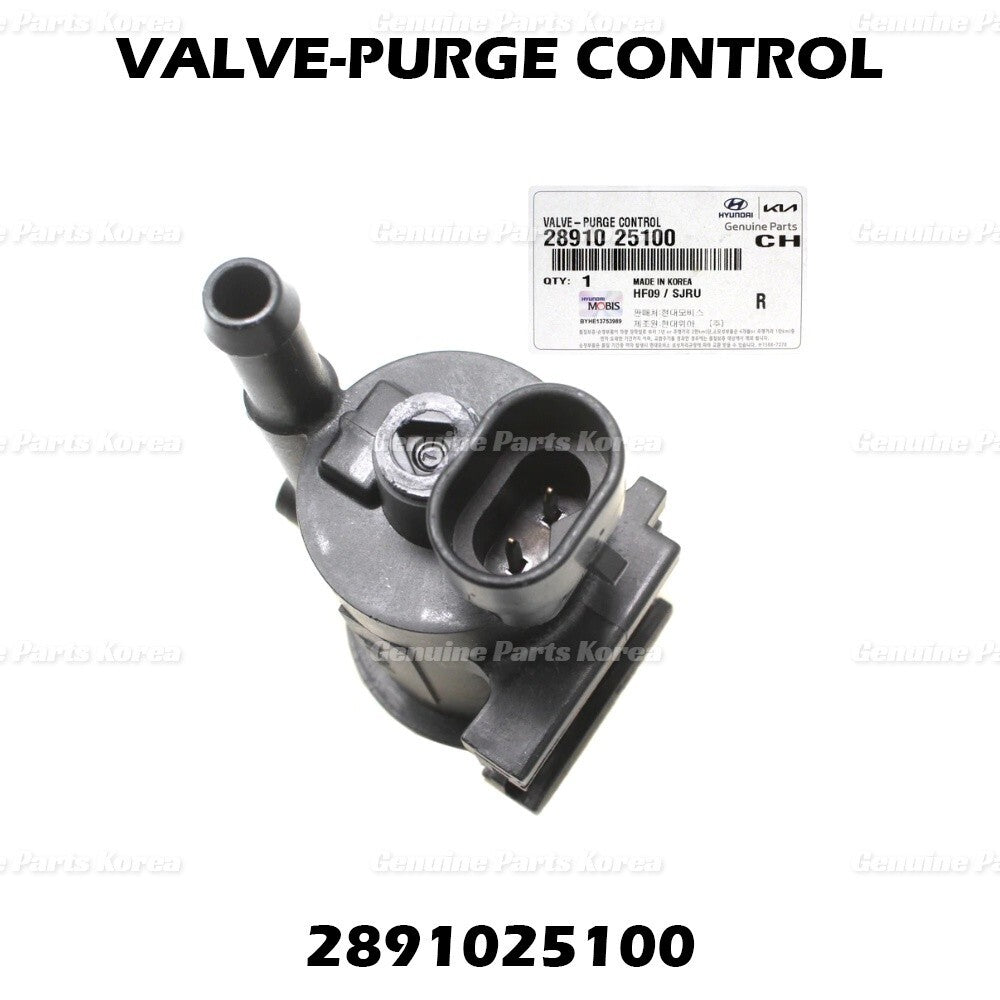 Genuine Vapor Canister Purge Valve 2891025100 for Hyundai & Kia 2006-2018