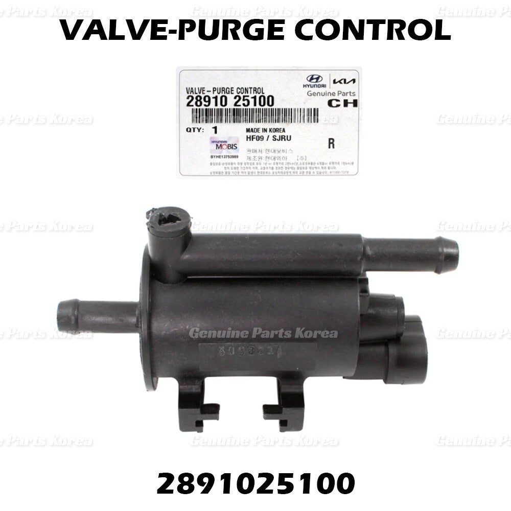 Genuine Vapor Canister Purge Valve 2891025100 for Hyundai & Kia 2006-2018