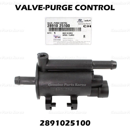 Genuine Vapor Canister Purge Valve 2891025100 for Hyundai & Kia 2006-2018