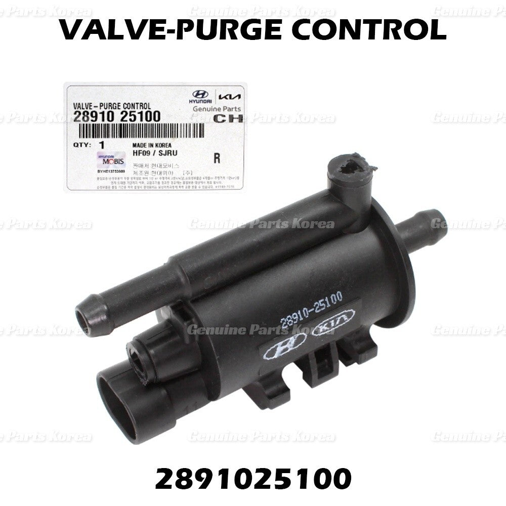 Genuine Vapor Canister Purge Valve 2891025100 for Hyundai & Kia 2006-2018