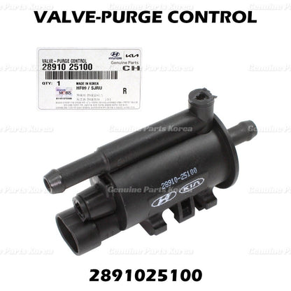 Genuine Vapor Canister Purge Valve 2891025100 for Hyundai & Kia 2006-2018