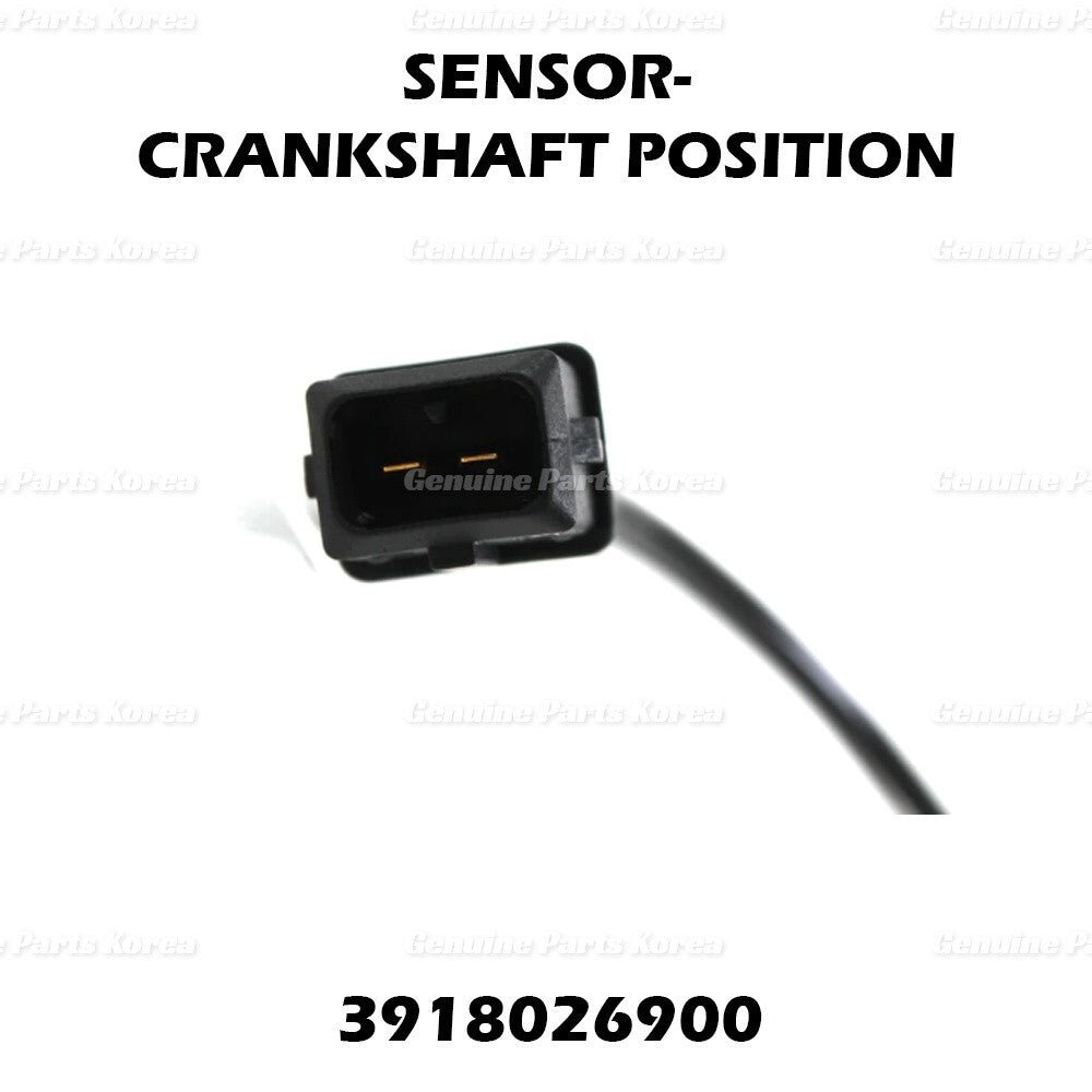 Genuine Crankshaft Position Sensor 3918026900 for Hyundai Accent Kia Rio Rio5