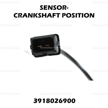Genuine Crankshaft Position Sensor 3918026900 for Hyundai Accent Kia Rio Rio5