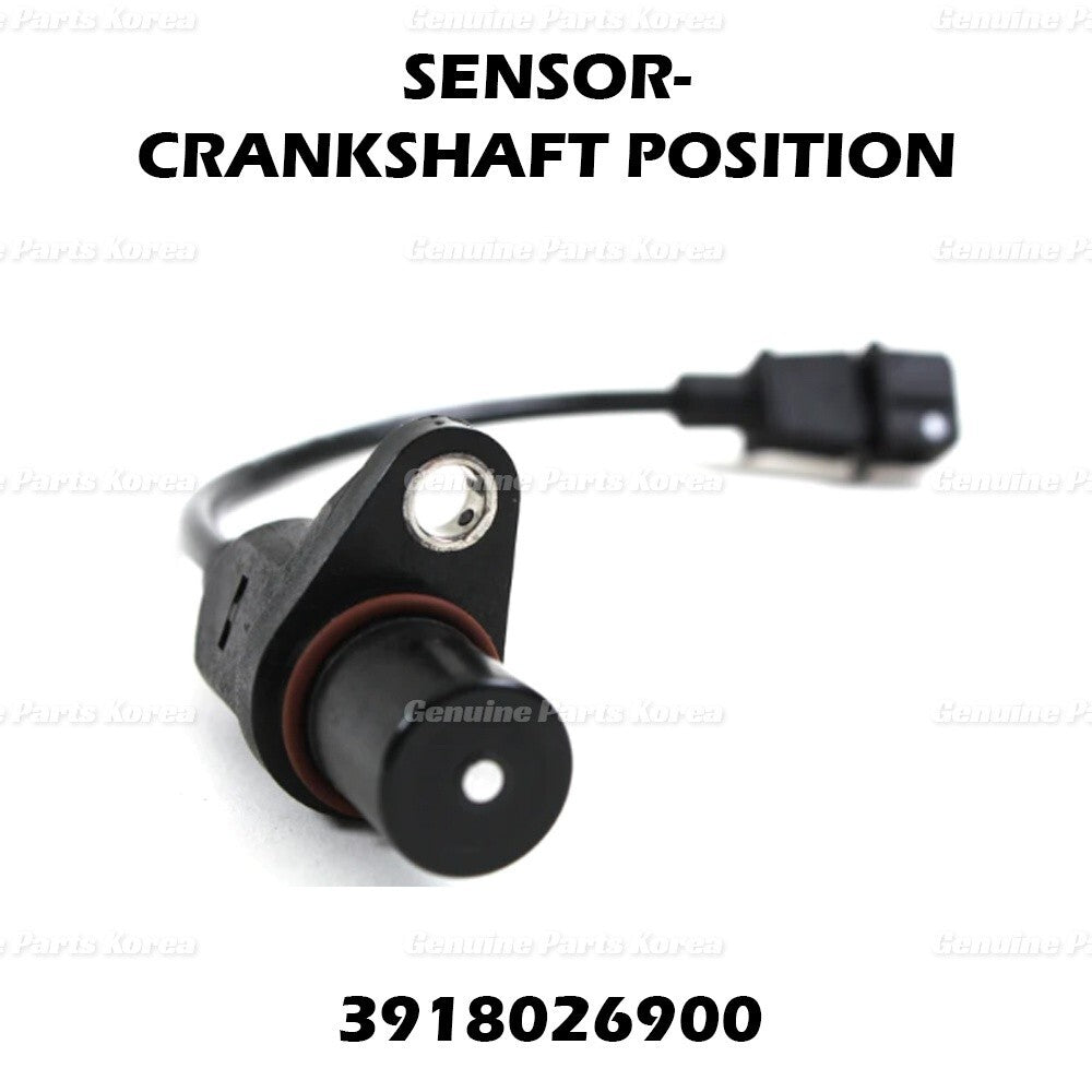 Genuine Crankshaft Position Sensor 3918026900 for Hyundai Accent Kia Rio Rio5