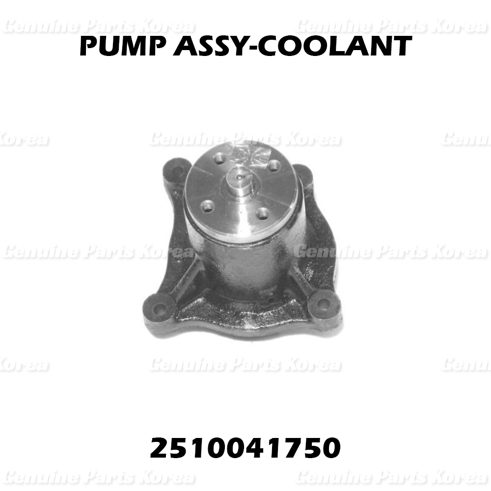 Genuine Coolant Pump 2510041750 for Hyundai Kia County