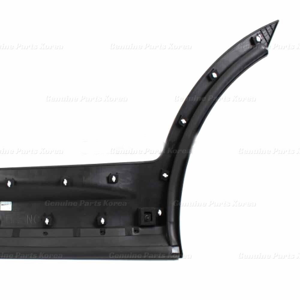 Genuine Rear Door Molding LH RH Set 87731B8000CA 87732B8000CA for Hyundai