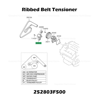 Genuine Ribbed Belt Tensioner 252803F500 for Hyundai Equus Genesis Kia K900