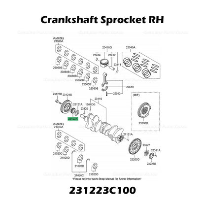 Genuine Crankshaft Sprocket RH 231223C100 for Hyundai Santa Fe Kia Sorento