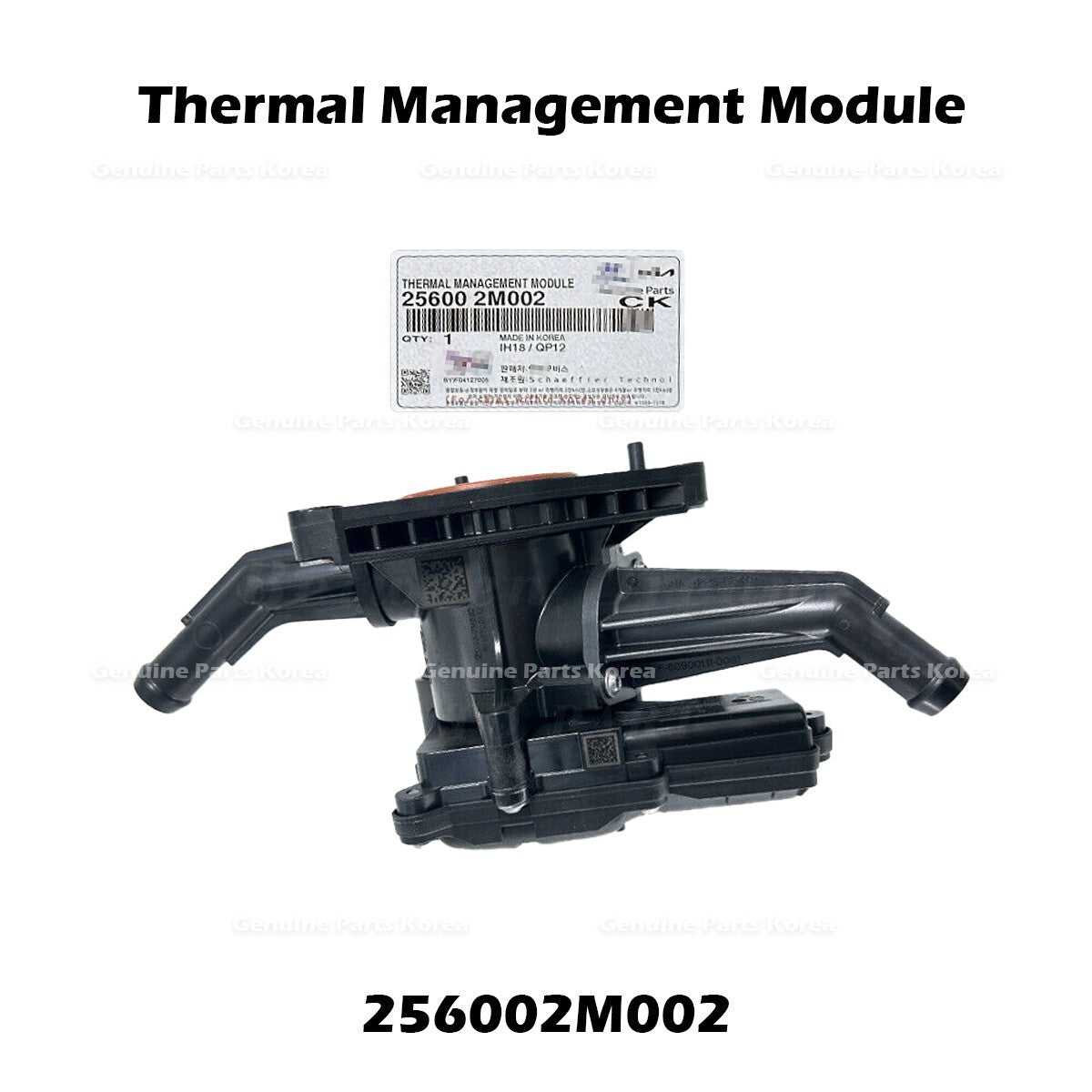 Genuine Thermal Management Module 256002M002 for Hyundai Accent Kia Rio