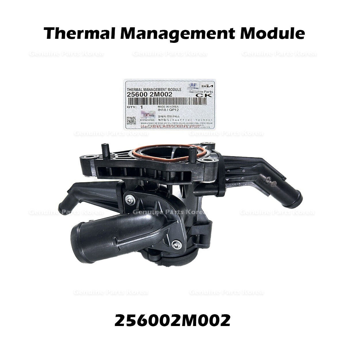 Genuine Thermal Management Module 256002M002 for Hyundai Accent Kia Rio