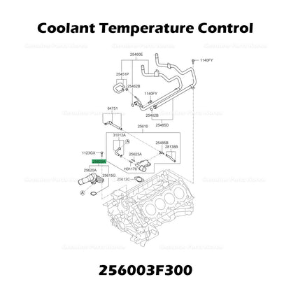 Genuine Coolant Temperature Control 256003F300 for Hyundai Equus Kia Borrego