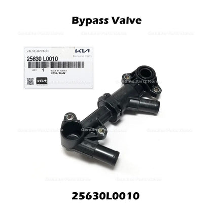 Genuine Bypass Valve 25630L0010 for Hyundai Santa Cruz Tucson Kia Sorento